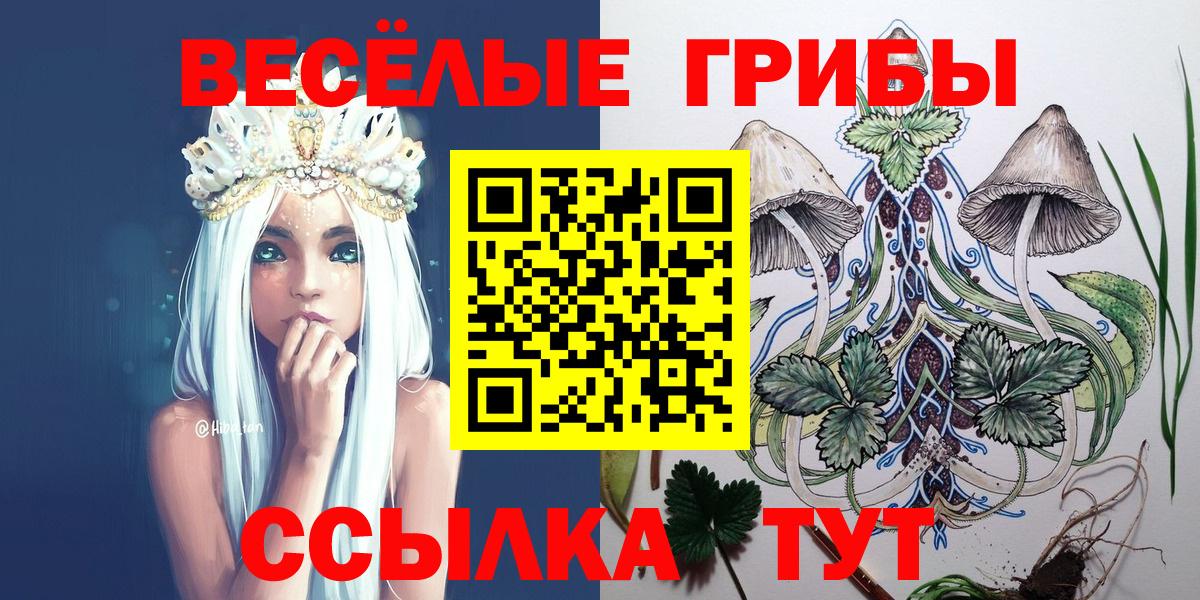 Псилоцибиновые грибы прущие грибы  Вход с VPN  Галлюциногенные грибы Cubensis  Малоярославец 