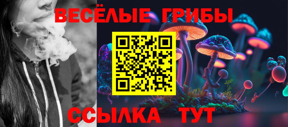 Галлюциногенные грибы GOLDEN TEACHER Малоярославец